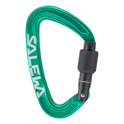 Mosquetón Ortles Screw - Salewa
