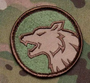 MSM Lobo · Multicam