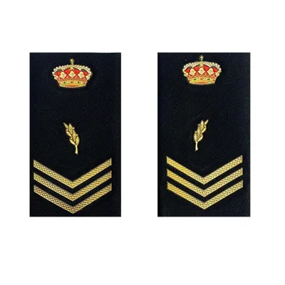 Divisa Nueva Oficial de Policía - SHOKE