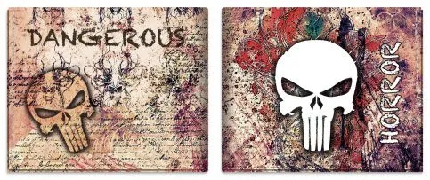 Barbaric Force Cartera Punisher