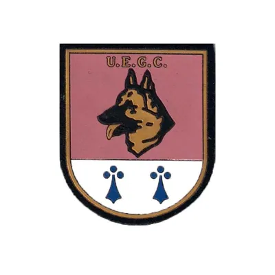 Distintivo Especialidad UEGC C/ Velcro - SHOKE