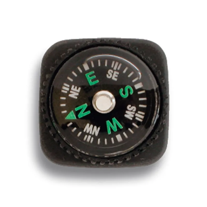 Dingo Brujula Reloj
