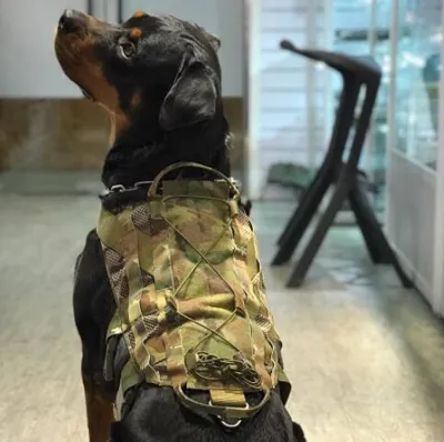 K9 Med Size Dog Vest