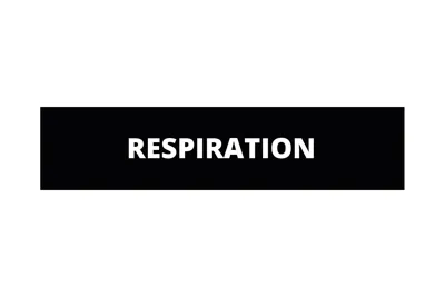 Respiration Patch - Dutch Tactical Gear