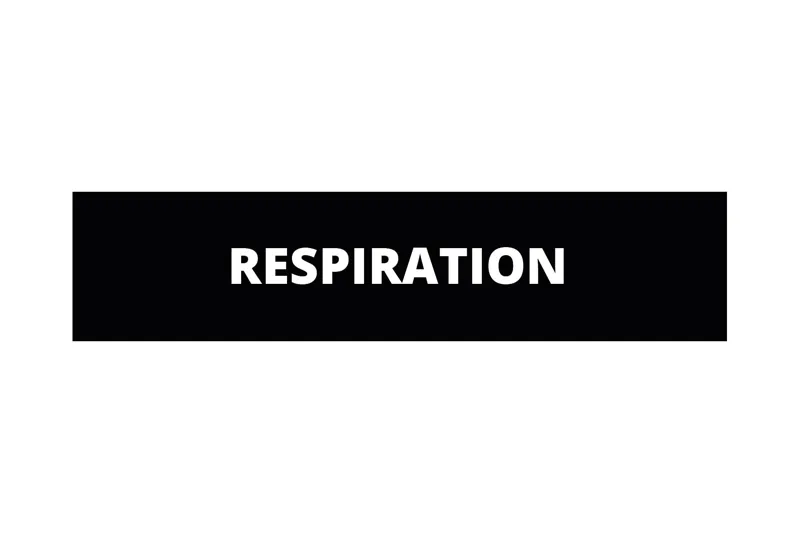 Dutch Tactical Gear Respiration Patch