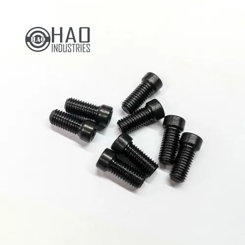 HAO LVPO Mount Replacement Screws
