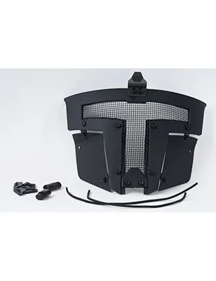 SPT Mesh Mask