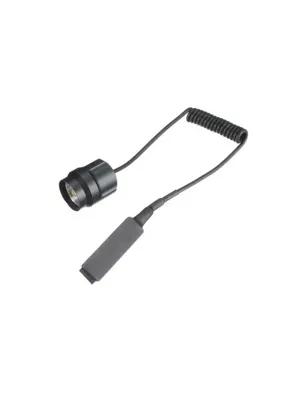 C8 Flashlight Button
