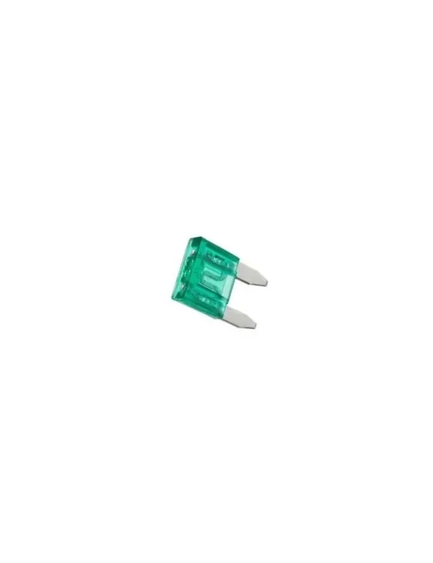 Mini Type Fuse 30A