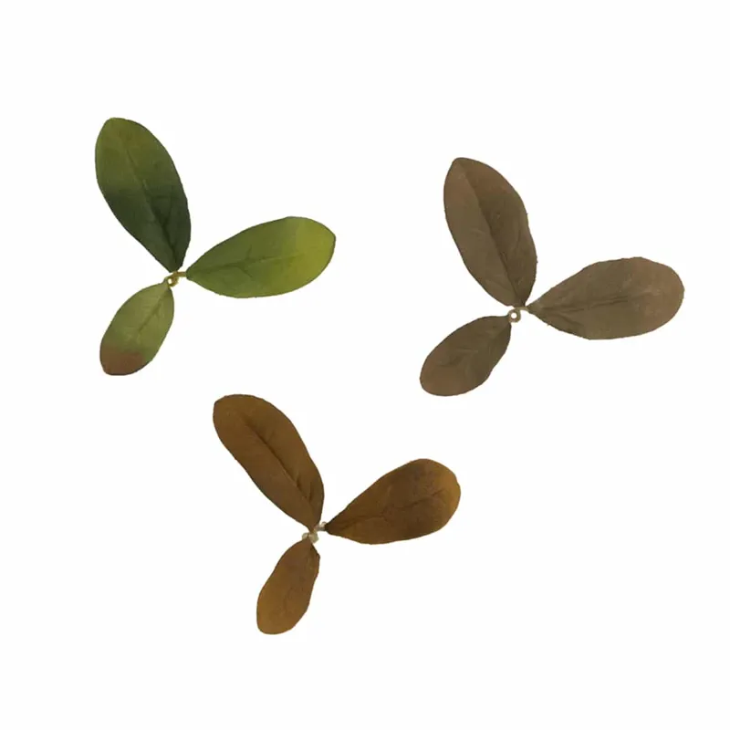 Leaf - LC2 · Otros camuflajes