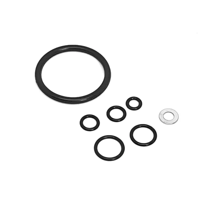 SSP2 O-Ring Set