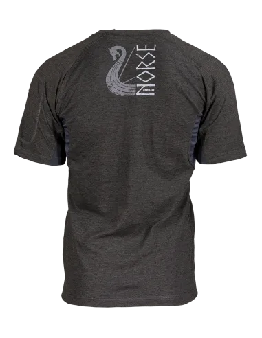 Aesir Norse