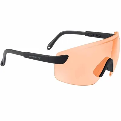Defense Schutzbrille