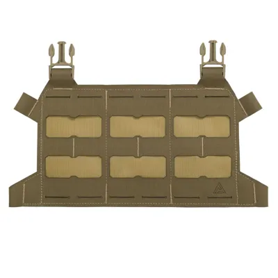 Skeletonized Plate Carrier Flap - Direct Action