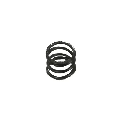 M40 Valve Spring S404 - KWC