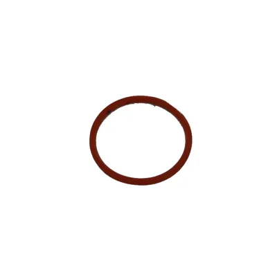 M40 O-Ring R05 - KWC