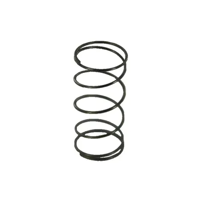 SR92-M2 Air Valve Spring - SRC (Taiwan)