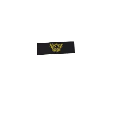 Patch - Black Eagle