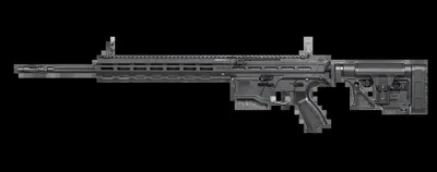 TR80 DMR – G&amp - G&G Armament