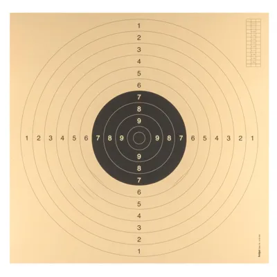 100 Cartons-Cibles C50 55 x 53 cm Avec Encoches - Bazooka