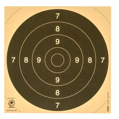 Cartons Centre Cible C50 21 x 21 cm - Bazooka