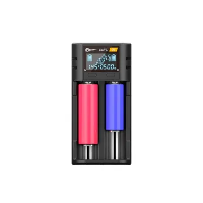 Battery Charger D2 LCD Intelligent (2 Slots) - BlueMax