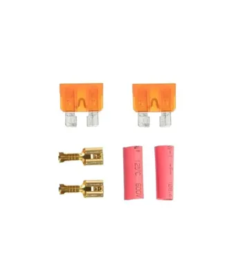 Gate Lot de 2 Fusibes 40A + Cosses - Gate Electronics