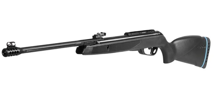 Gamo Black Bear IGT 5.5mm