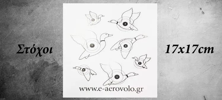 Χάρτινοι Στόχοι Σκοποβολής 17×17 ΝΟ12 (50PCS)