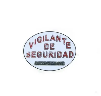 Pin Vigilante de Seguridad Metalico