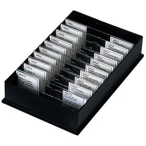 4855 Slides