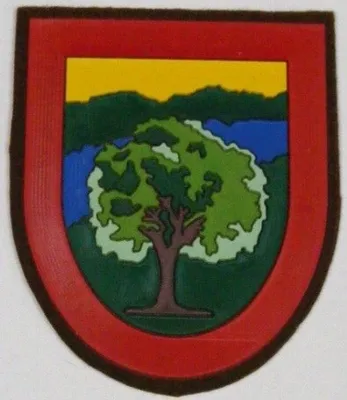 Emblema Brazo Guarda Particular de Campo Nuevo Uniformidad