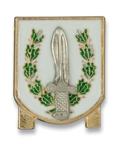 Emblema Permanencia Goe