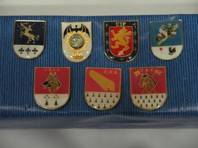 Distintivo Metálico Cuerpo Nacional de Policía Trajes de Gala