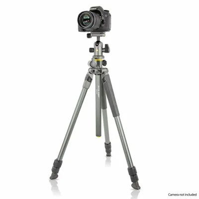 Alta Pro 2+ 263AB 100 - Trípode de Aluminio, Rótula de Bola - Vanguard