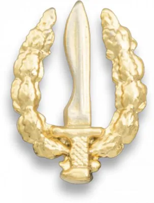 Pin Pequeño Emblema GOE - Albainox