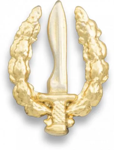 Albainox Pin Pequeño Emblema GOE