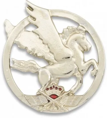 Emblema Boina SEADA - Albainox