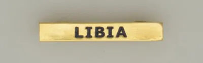 Barra Mision » LIBIA « - Albainox