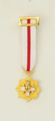 Gran Placa Merito Militar Dtivo - Albainox