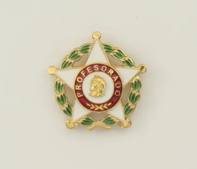 Distintivo Profesorado Oficial - Albainox