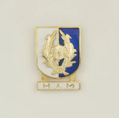 Distintivo Especialidad HAM - Albainox