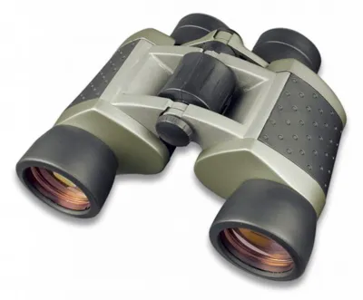 Binocular 8×40 (P10840) - Albainox