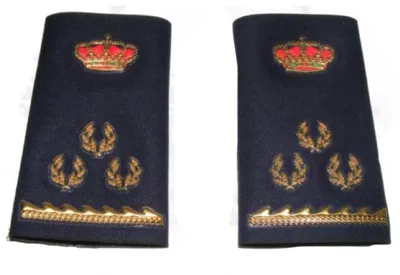 Manguito Nueva Divisa Inspector Policía