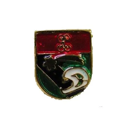 Pins Guardia Civil Tráfico