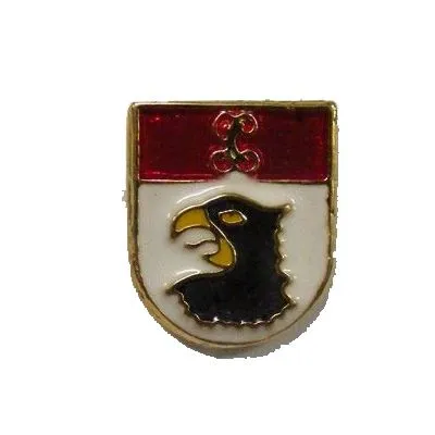 Pins Guardia Civil Información