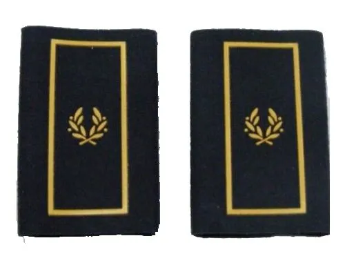 Divisas Subinspector Policía