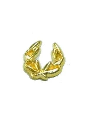 Pins Juego de Laurel Doble