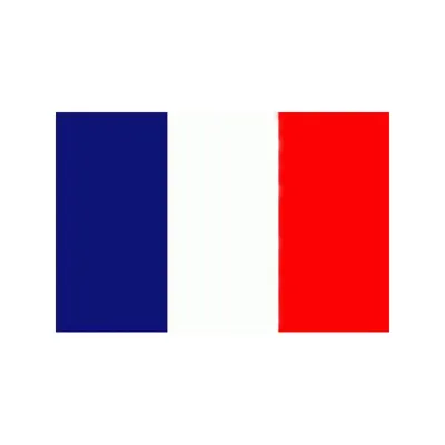 Drapeau France - 150x90cm - Mil-Tec