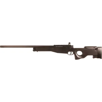 AW308 Spring - Double Eagle